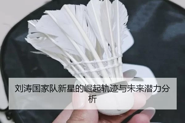 刘涛国家队新星的崛起轨迹与未来潜力分析